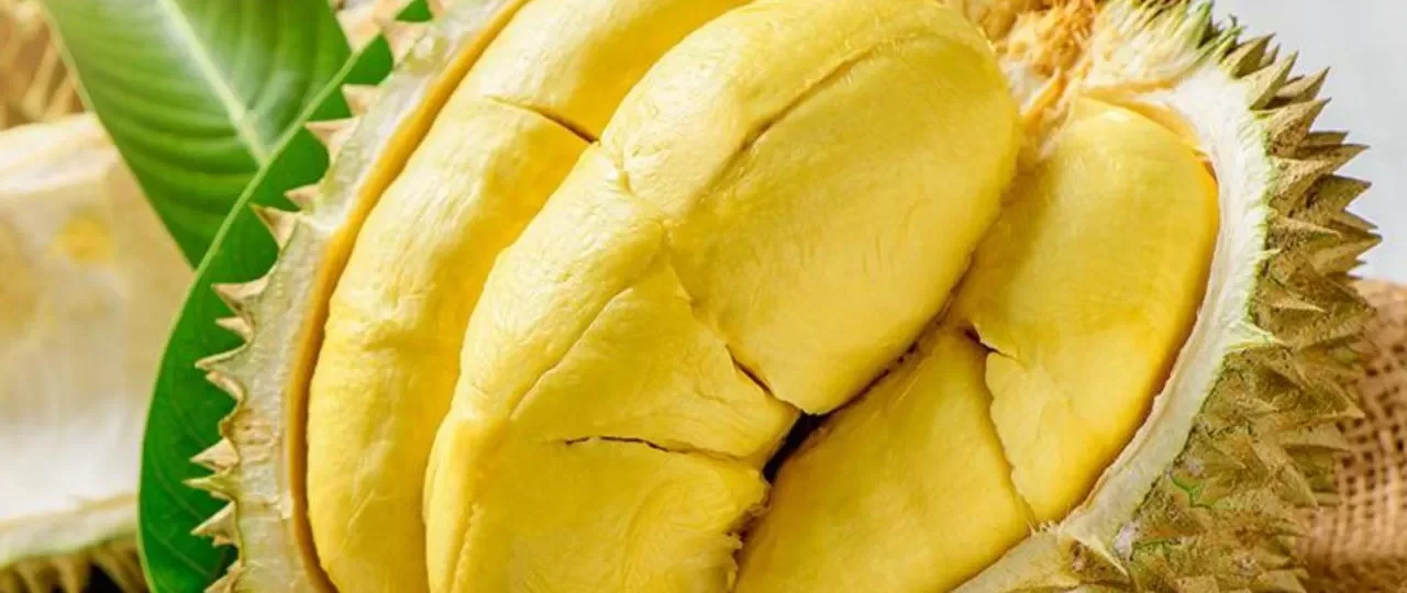 menghilangkan bau durian di tangan