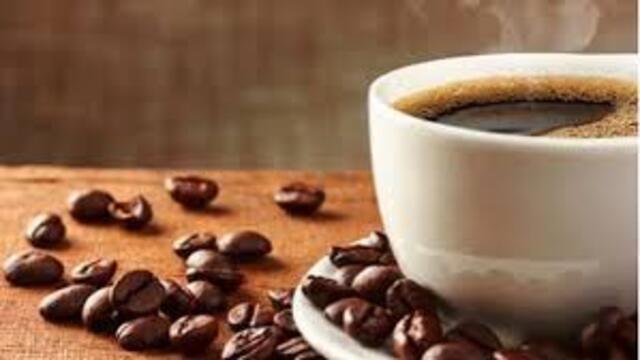 Wisata Kopi di Toraja