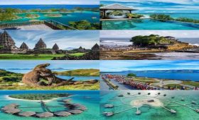 Wisata Santai di Pulau Komodo