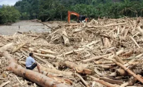 Aktivitas Penebangan Hutan Diduga Jadi Penyebab Longsor