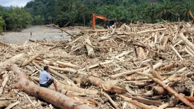 Aktivitas Penebangan Hutan Diduga Jadi Penyebab Longsor