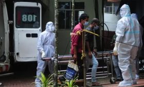 Kasus Virus Nipah di India