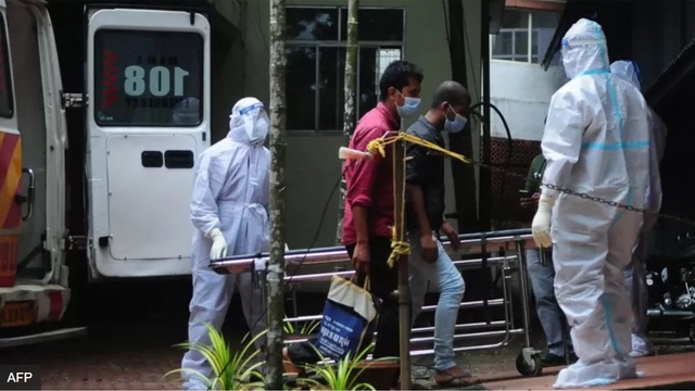 Kasus Virus Nipah di India